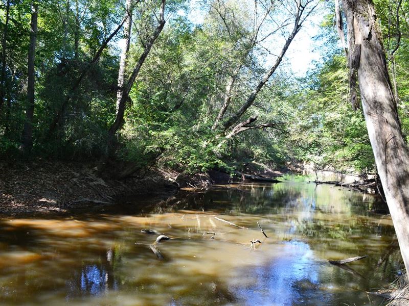 Lynches River Tract Land for Sale in Bethune, Chesterfield County