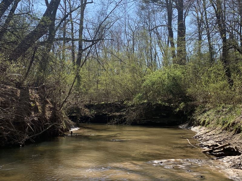 67 Acres in Section Al, with Creek : Section : Jackson County : Alabama