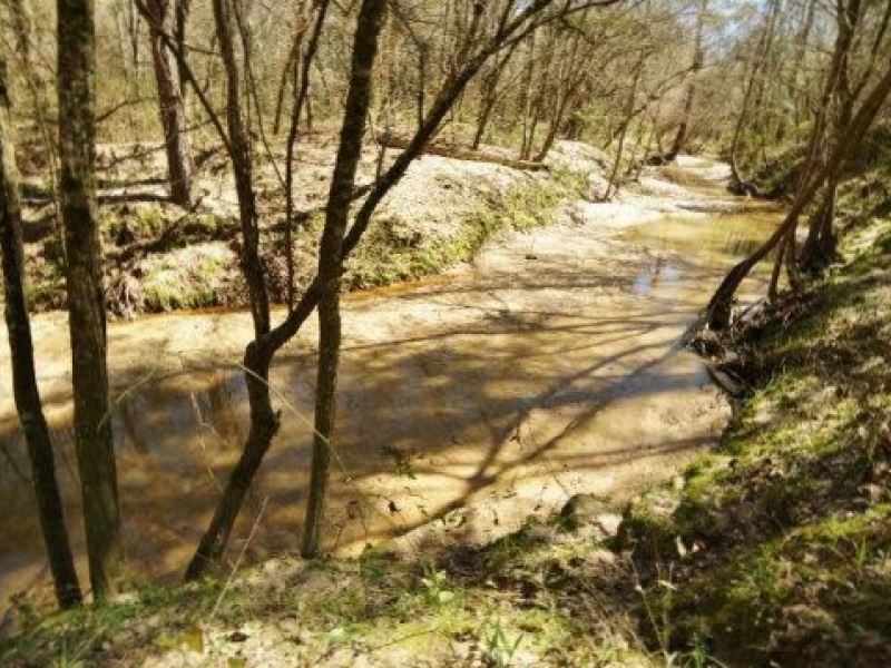 854 Acres Turnkey Hunting Land : Natchez : Adams County : Mississippi