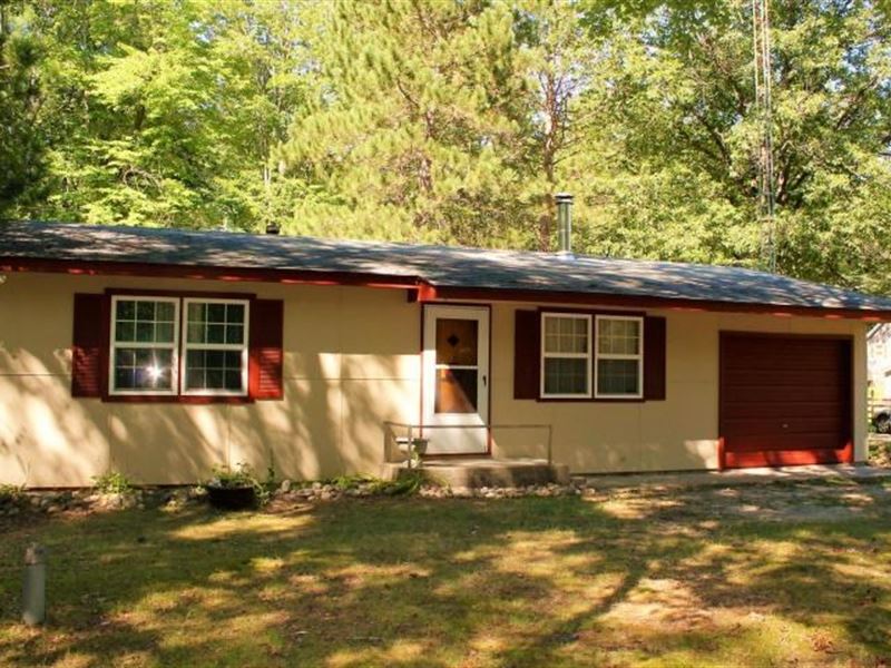 Rush Lake Cabin Atlanta Michigan Land for Sale in Atlanta