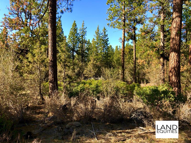 Wooded Lot in Private Location : Bonanza : Klamath County : Oregon