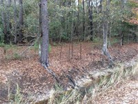 RD Ellender Road Tract, Calcasieu : Sulphur : Calcasieu Parish : Louisiana