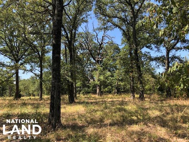 33 Acres, Open Areas, Wooded : Malakoff : Henderson County : Texas