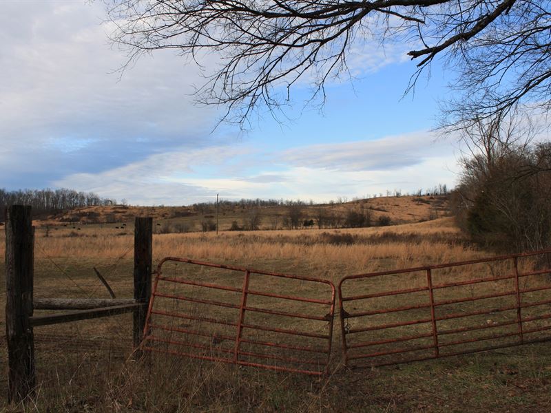 Silva Missouri Farm 131 Acres Land for Sale in Silva, Wayne County