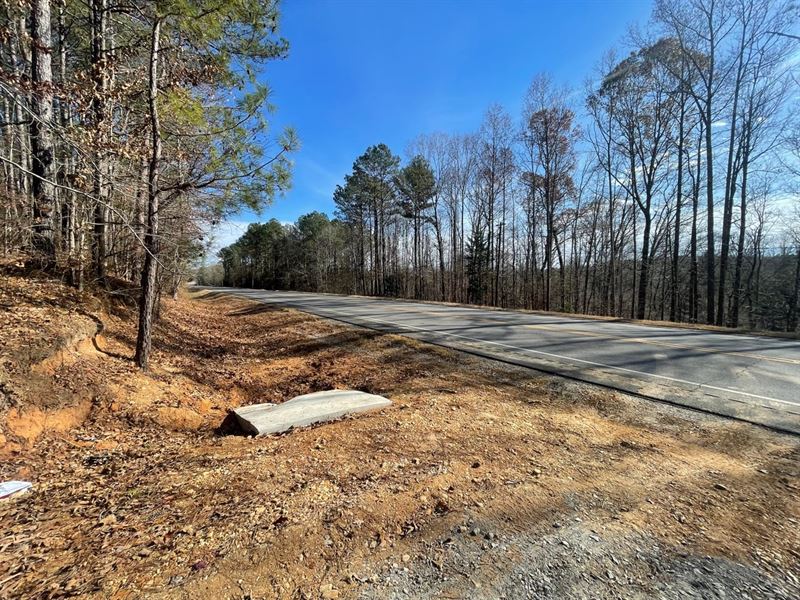 75 Acre Marion County Hwy 278 : Hamilton : Marion County : Alabama