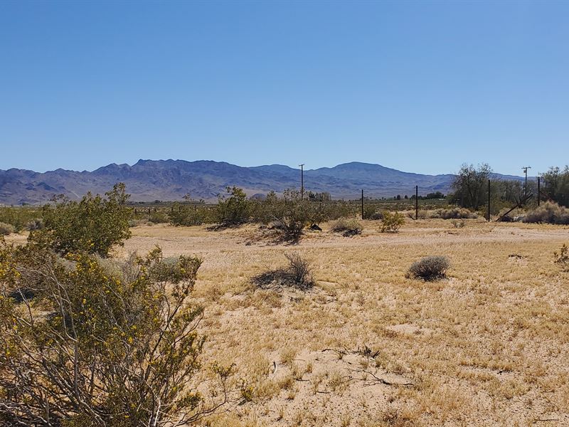 Prime Ag/Res Land, Power, $289/Mo : Newberry Springs : San Bernardino County : California