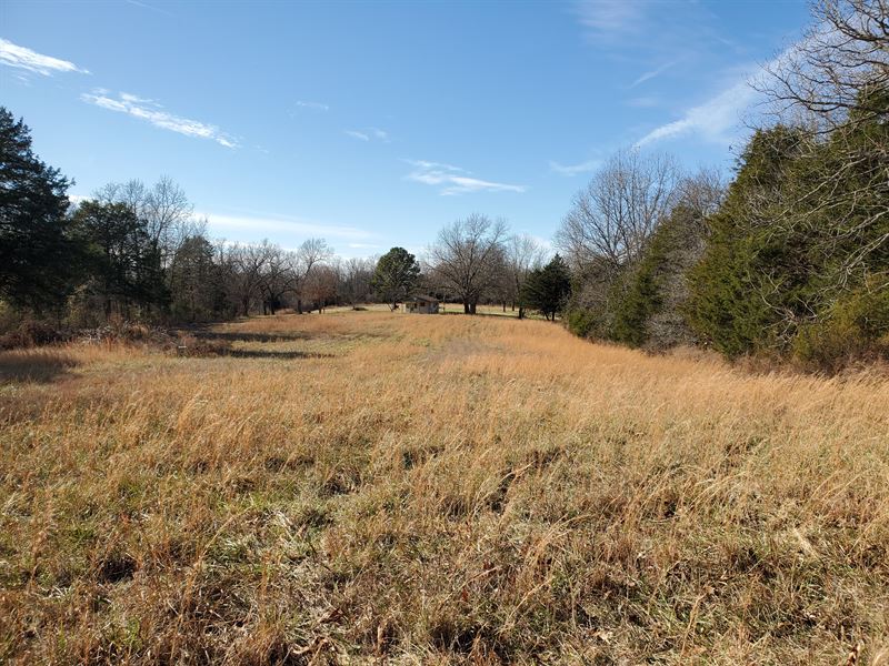Land for Sale in Southern Missouri Land for Sale in Tecumseh, Ozark
