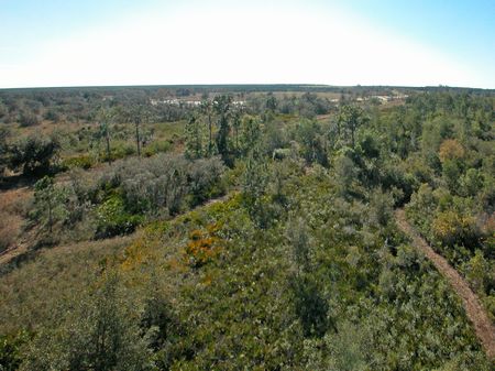 Land Liquidation, Homesites : Frostproof : Polk County : Florida