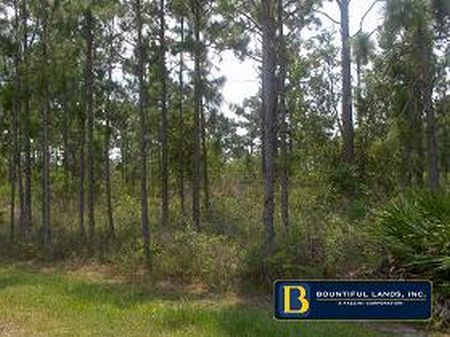 Land Liquidation 4+ Acres : Frostproof : Polk County : Florida