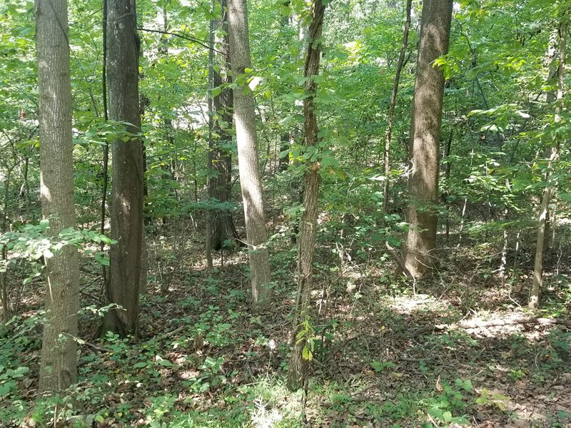 2 Buildable Lots in Harpers Ferry : Harpers Ferry : Jefferson County : West Virginia