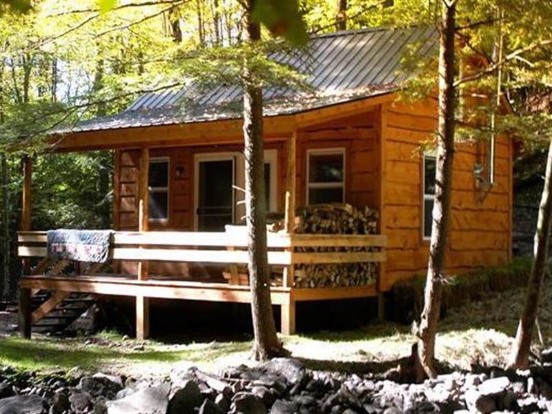 Riverfront Land & Cabin Package Land for Sale in Remsen, Oswego