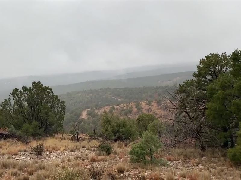 Mountain Acreage Hunting Area New : Timberon : Otero County : New Mexico