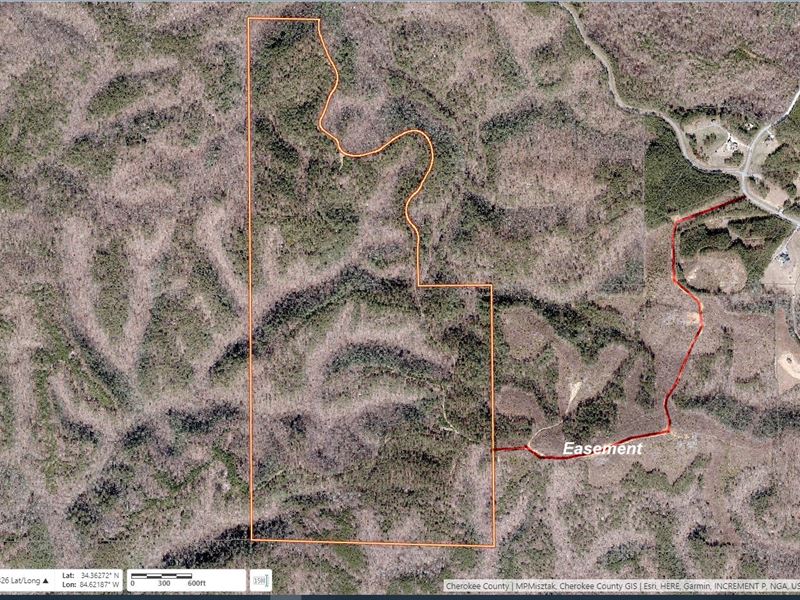 Garland Mountain / Hwy 140, 218 Ac : Waleska : Cherokee County : Georgia