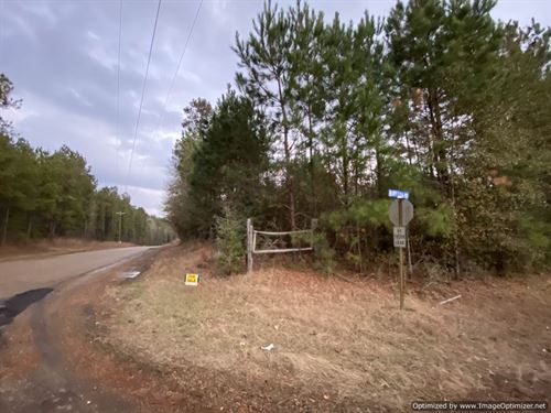 Home Site Ready in Lawrence County : Sontag : Lawrence County : Mississippi