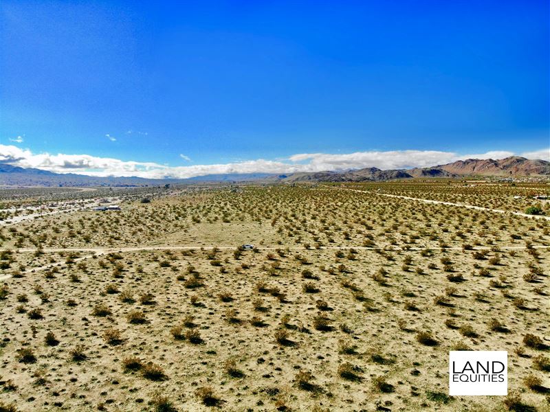 Best Deal in Joshua Tree $149 /Mo : Joshua Tree : San Bernardino County : California