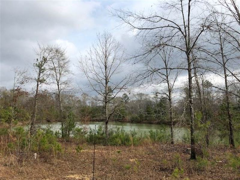 Beautiful Land with Pond, Land for Sale in Mississippi, 225129 LANDFLIP