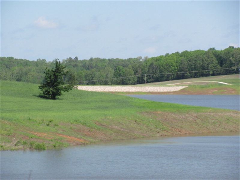 Dockable Lot on 1000 Acre Lake : Huntingdon : Carroll County : Tennessee