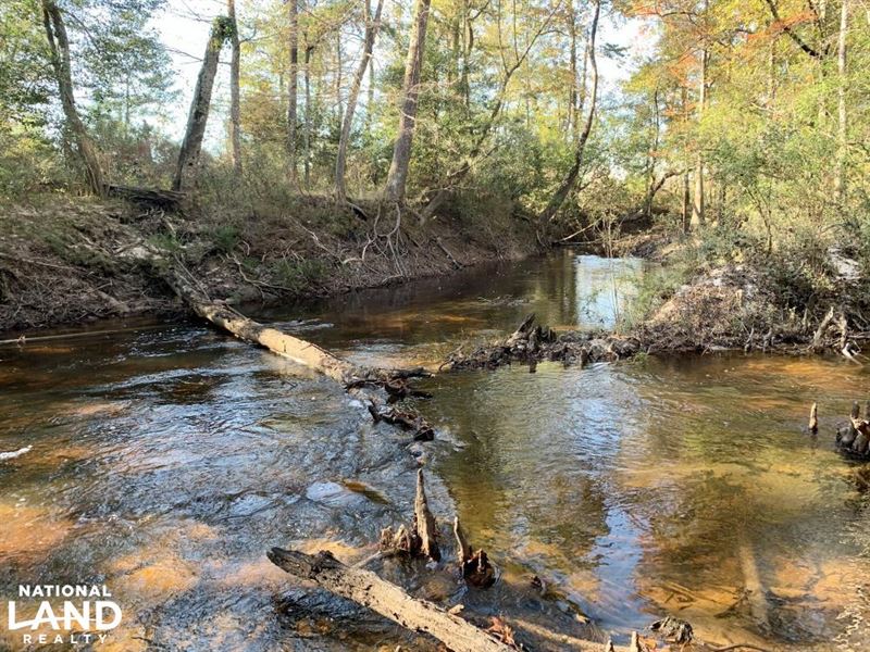 Escatawpa River Hunting And Recreat Land for Sale in Deer Park