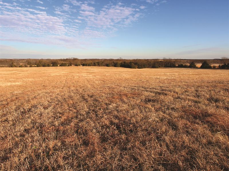 Land Auction in 2 Counties, Kansas : Cherryvale : Montgomery County : Kansas