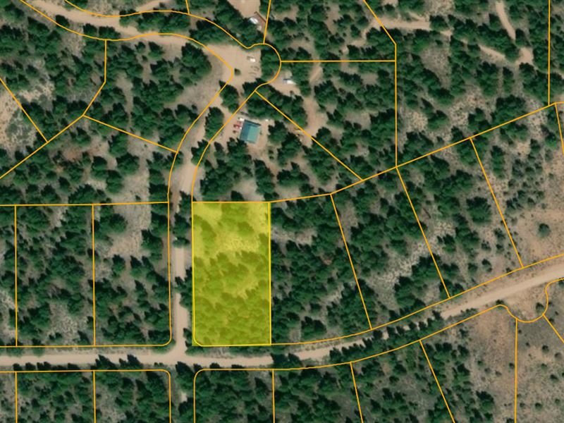 Oregon Pines Sd, Klamath County, OR : Beatty : Klamath County : Oregon