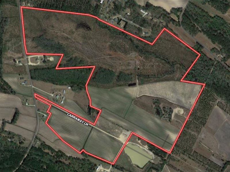 180.56 Acres : Grifton : Pitt County : North Carolina
