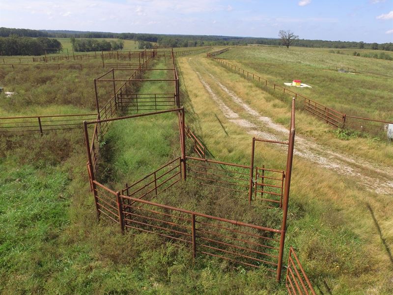 1000 Acre Cattle Ranch/Hunting : Edwards : Benton County : Missouri