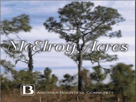 6.38 Acres for $99,990, McElroy : Frostproof : Polk County : Florida