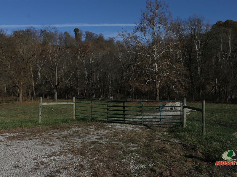 Hunting Farming and More 316 Acres, Land for Sale in Kentucky, 225444