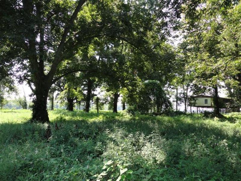 Fishing Camp Lot Concordia Parish : Vidalia : Concordia Parish : Louisiana