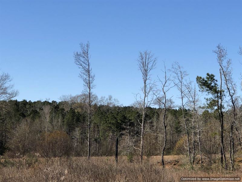 2.4 Acres Ready for Your Home : Brookhaven : Lincoln County : Mississippi