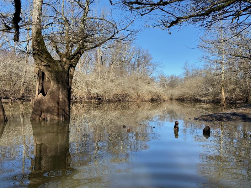 Big Creek Tillable & Timber : Marvell : Phillips County : Arkansas