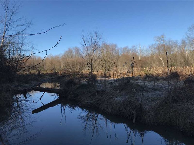 171 Acres in Pacolet, Union Cou : Pacolet : Union County : South Carolina