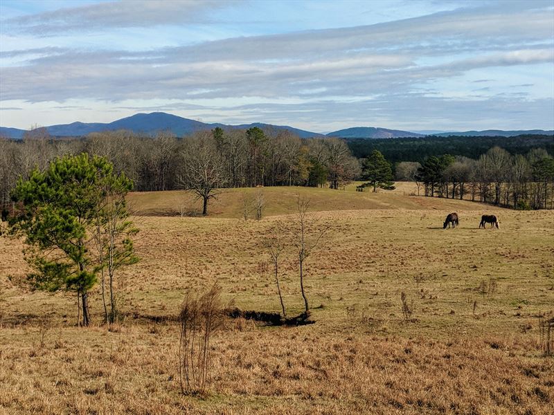 105+/- Acres Pastureland Alpine, AL : Childersburg : Talladega County : Alabama