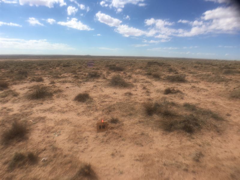 Land Near Petrified Forest Park, AZ : Holbrook : Navajo County : Arizona