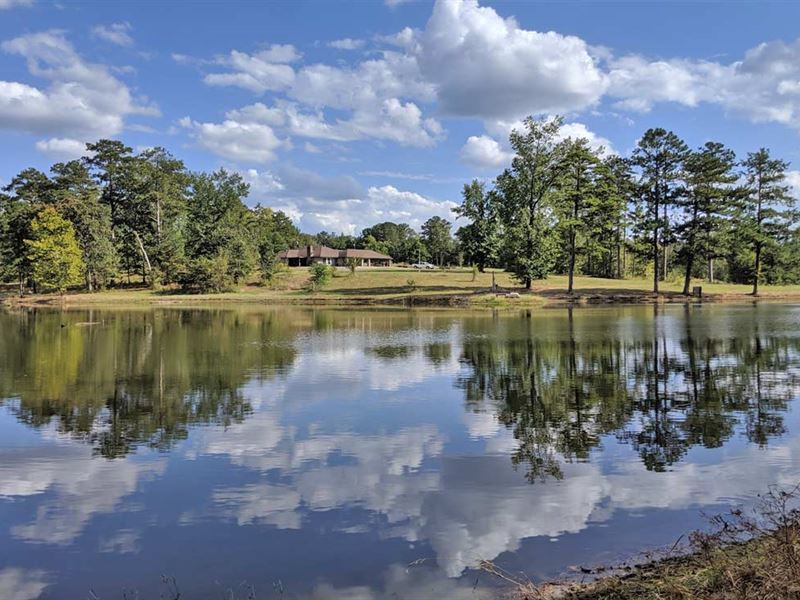 Headwater Tree Farm : Ramer : Montgomery County : Alabama