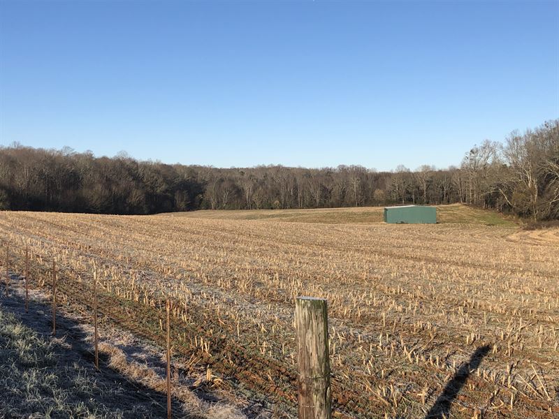 Townville Farm & Crop Land 1 Land for Sale in Townville, Anderson