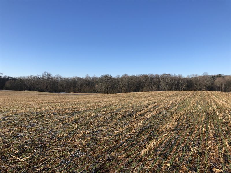 Townville Farm & Crop Land 3 Land for Sale in Townville, Anderson