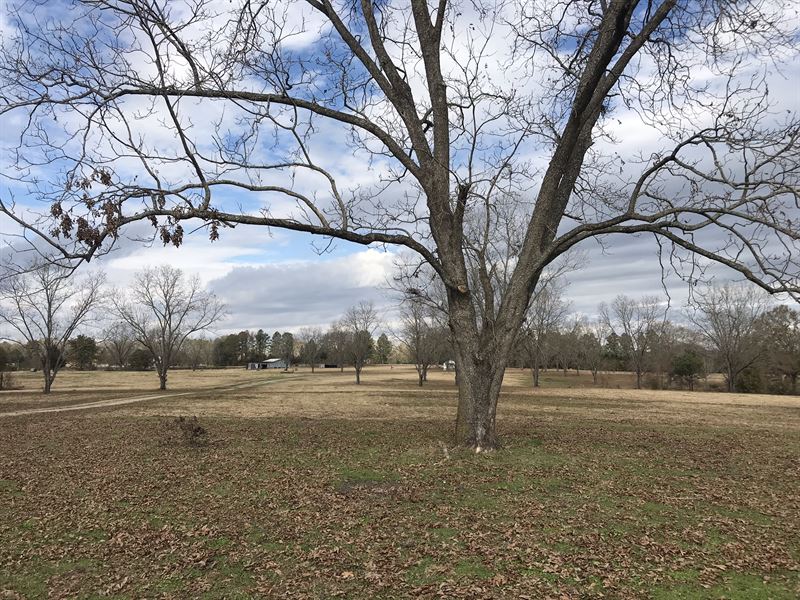 Veasey Farm-Beautiful Home Sites : Grady : Montgomery County : Alabama