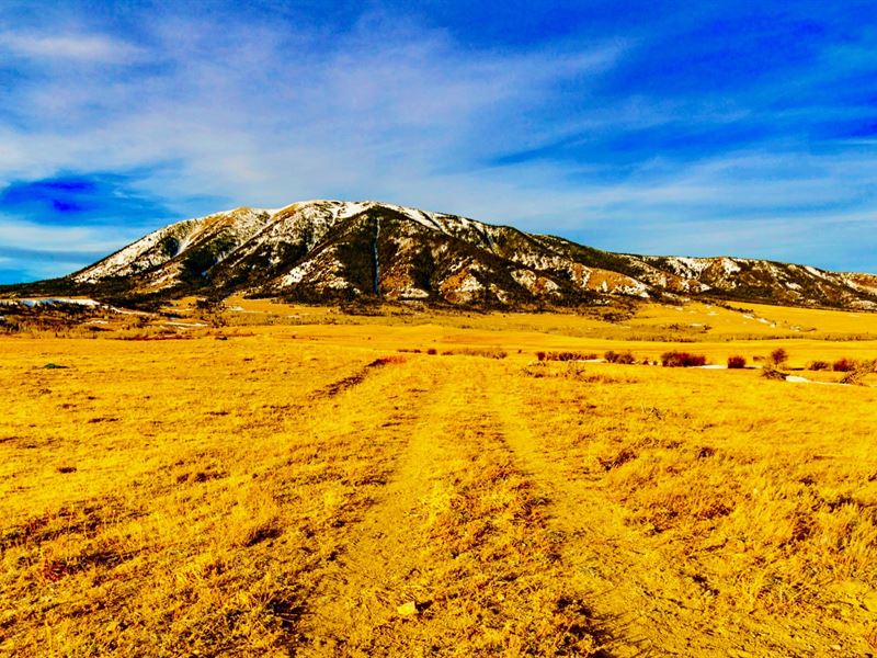 Lot by Medicine Bow National Forest : Elk Mountain : Carbon County : Wyoming
