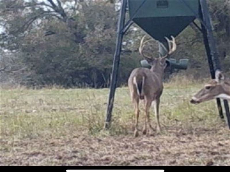 Beautiful Ranch : Clarita : Coal County : Oklahoma