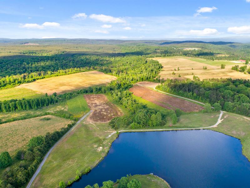 45 Acres With Stocked Lake Land for Sale in Sale Creek, Bledsoe