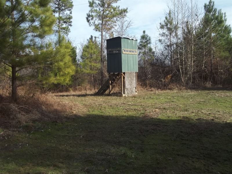 Very Private Hunting Land Land for Sale in Cascilla, Tallahatchie