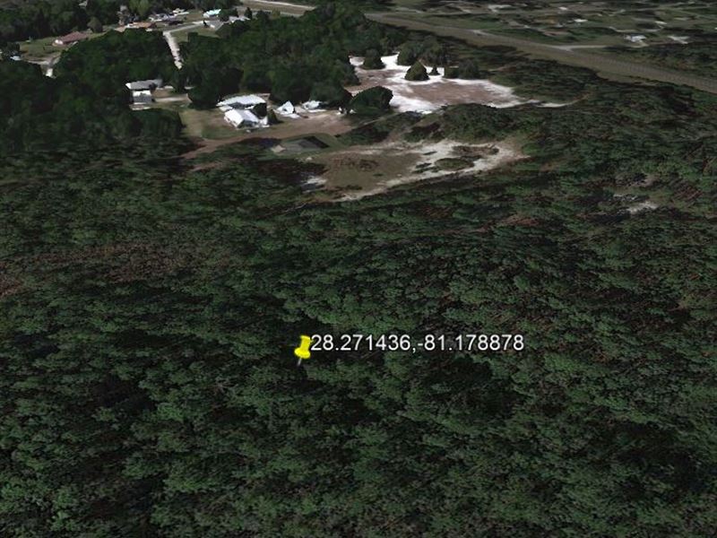Tucked Away Wooded Lot : Saint Cloud : Osceola County : Florida