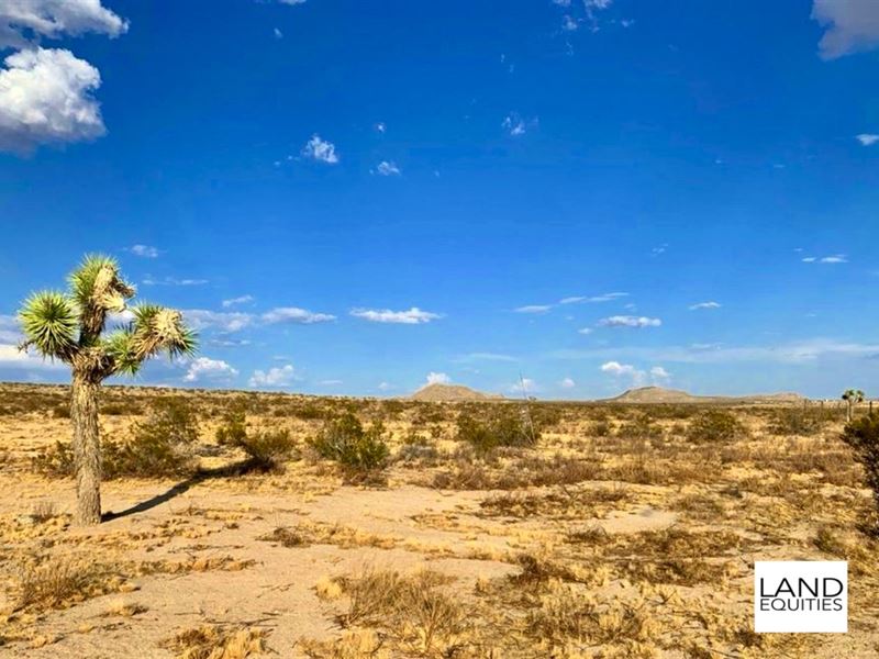 Great Location with Beautiful Views : Lucerne Valley : San Bernardino County : California