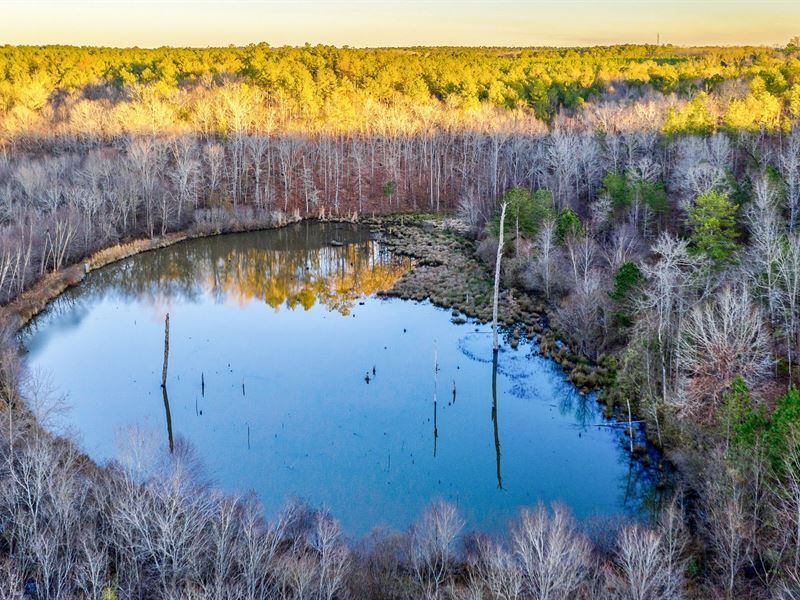 Mallard Lodge at Buck Creek : Barnesville : Lamar County : Georgia