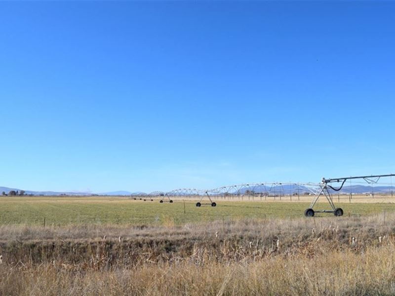 Tulelake Organic Farm : Tulelake : Modoc County : California