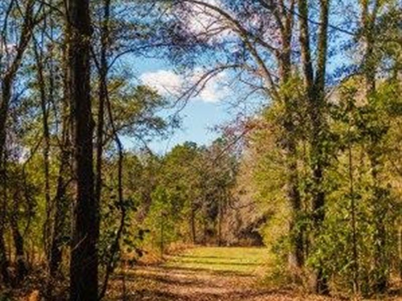 Belcher Branch : Statesboro : Bulloch County : Georgia