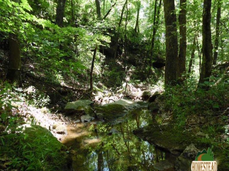 Wonderful Property with Spring-Fed : Mountainburg : Crawford County : Arkansas