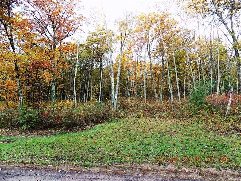Wooded Subdivision Lot Sandstone Land for Sale in Sandstone, Pine