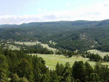 Fresh Water Canyon Ranch : Newcastle : Weston County : Wyoming